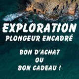 exploration-plongeur-encadrer-plongee-cap-d-agde